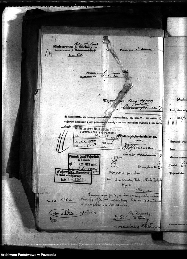 Obraz 18 z jednostki "Nosacizna - Chełmno"