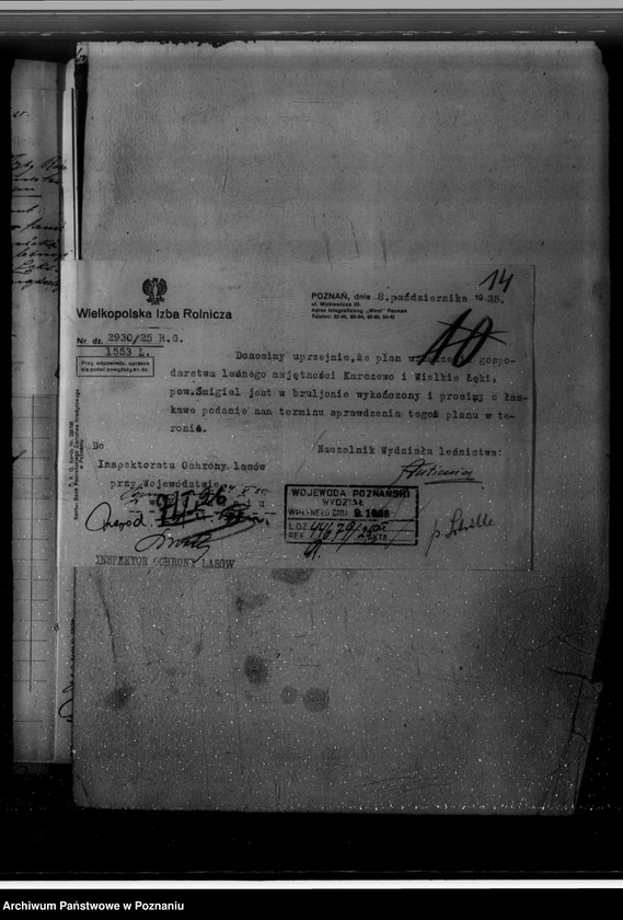 Obraz 18 z jednostki "Majętność leśna Karczewo powiat kościański"