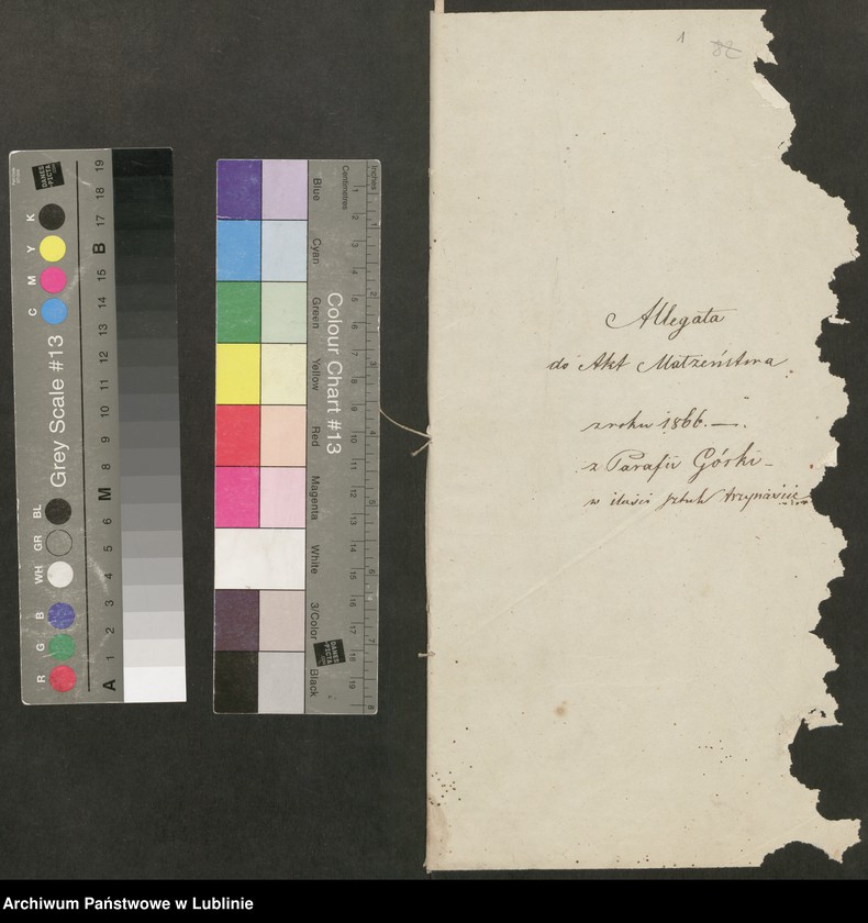 image.from.unit.number "Alegaty do ksiąg urodzeń, małżeństw i zgonów z lat 1865 – 1869"