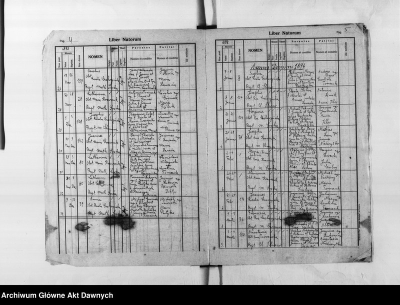 image.from.unit.number "Parafia: Skałat. Dekanat: Skałat. Księga metrykalna urodzeń dla wsi Panasówka*."