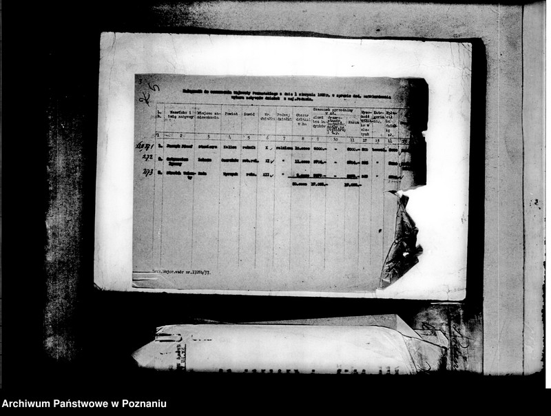 Obraz 8 z jednostki "Parcelacja majątku Podanin powiat chodzieski"