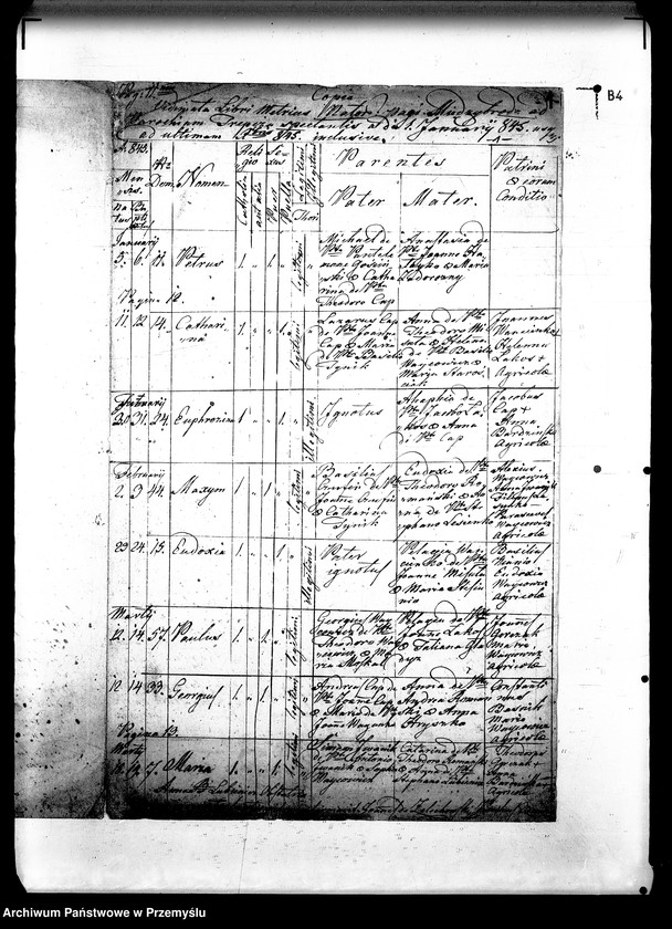 Obraz 5 z jednostki "[Kopie ksiąg metrykalnych parafii Międzybród (dekanat Sanok)]"