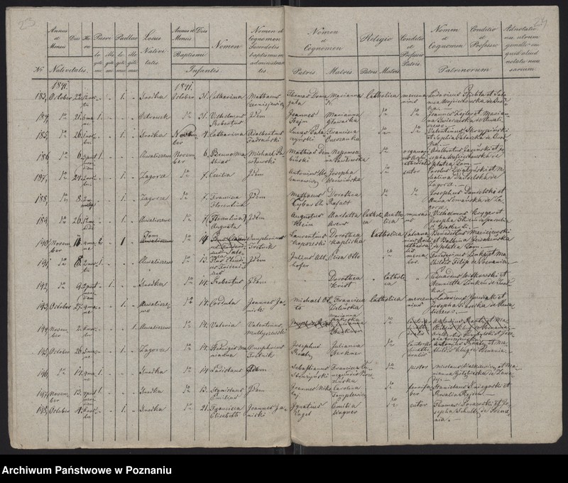 Obraz 14 z jednostki "Spis urodzeń"