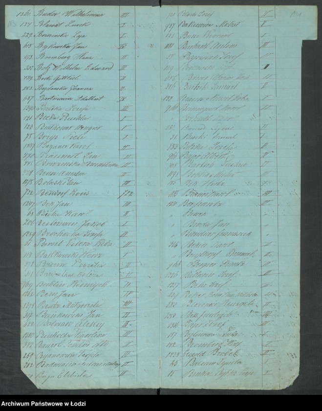 Obraz 11 z jednostki "Skorowidz [...]"