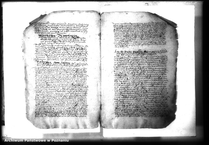 Obraz 11 z jednostki "Lib. civium, inscriptiones, relationes, decreta [inducta]"