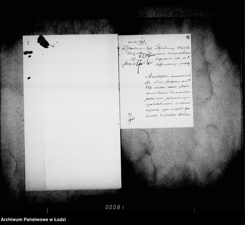 Obraz 16 z jednostki "O podkidyšach"