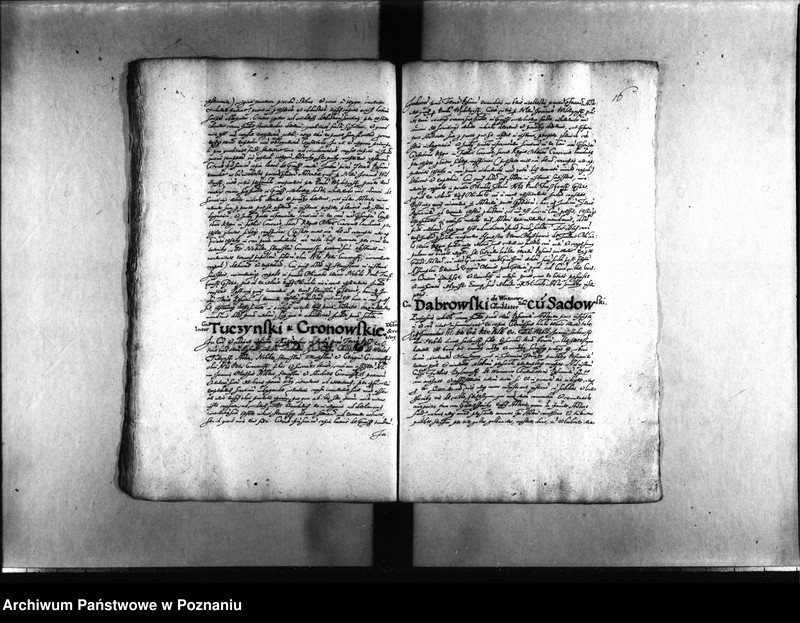 Obraz 19 z jednostki "Decreta [inducta]"