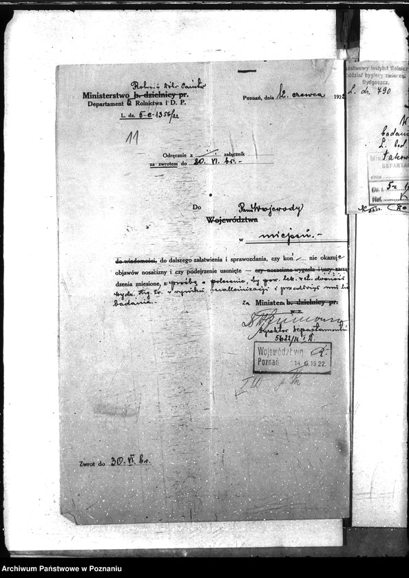 Obraz 16 z jednostki "Nosacizna - Grodzisk"