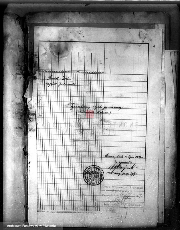 Obraz 5 z jednostki "Rejestr klasyfikacyjno-pomiarowy majątku Jadowniki w powiecie żnińskim"