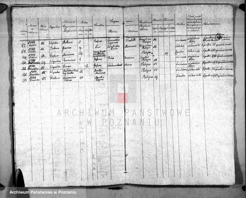 Obraz 11 z jednostki "Liber baptisatorum, copulatorum u. mortuorum"