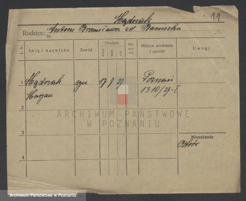 Obraz 13 z jednostki "Mędrzak - Meglich (Moeg..)"