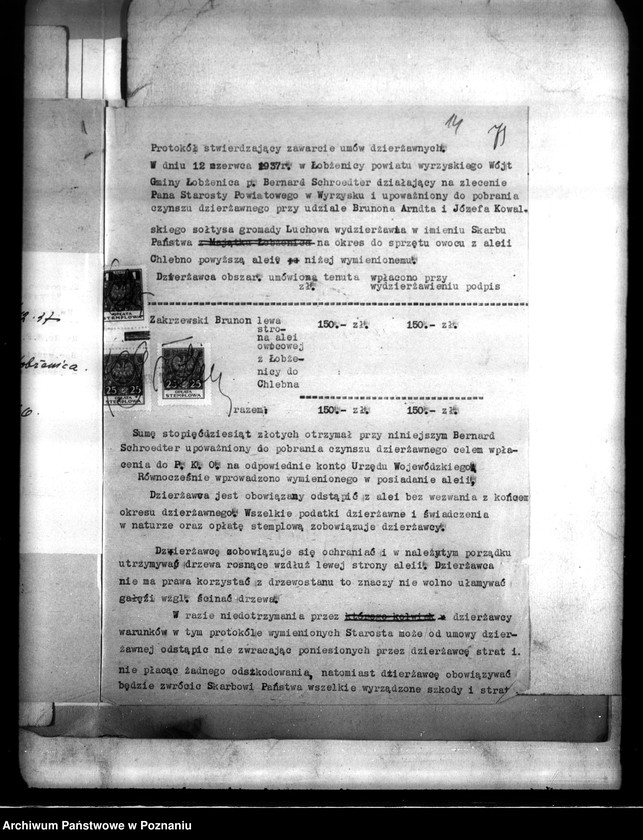 Obraz 18 z jednostki "Majątek Łobżenice powiatu wyrzyskiego wydzielenie zastrzeżonych parcel"