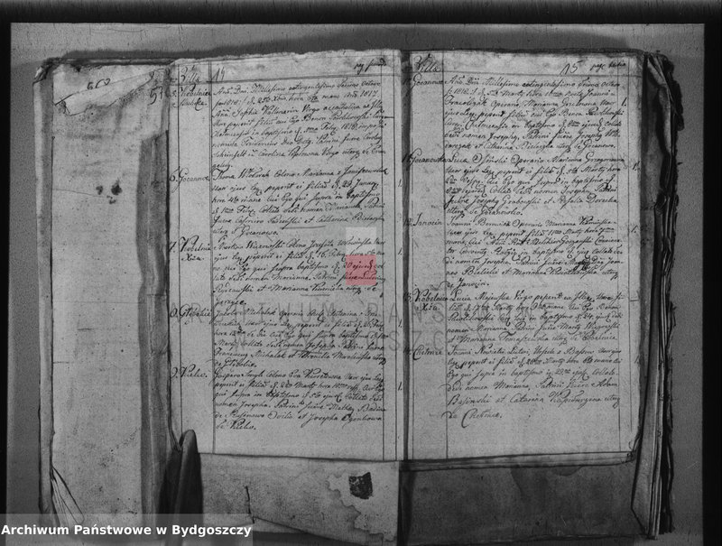 image.from.team "Akta metrykalne parafii rzymskokatolickiej w Chełmcach, pow. Inowrocław"