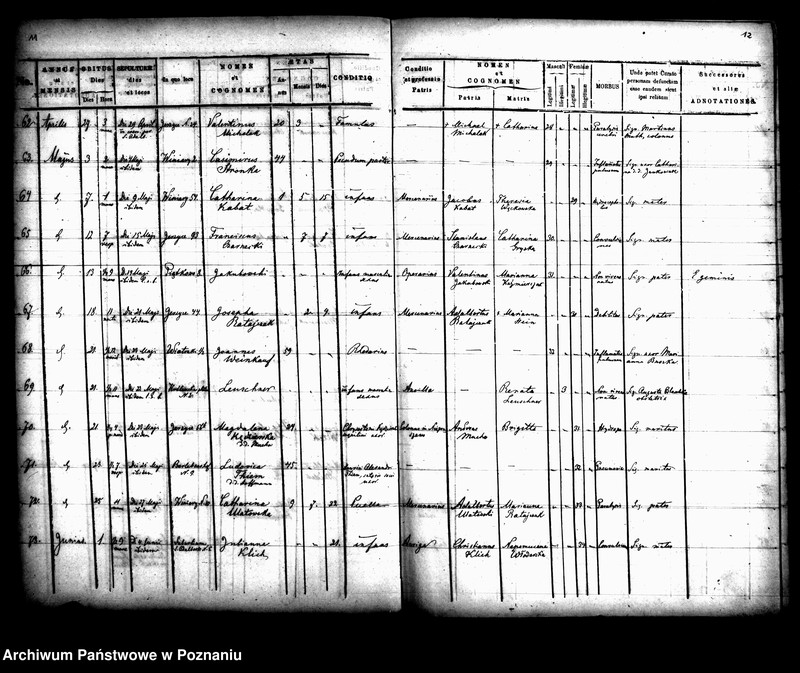 Obraz 8 z jednostki "Księga zgonów"