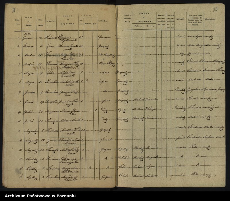 image.from.unit.number "Liber baptisatorum, copulatorum et mortuorum"