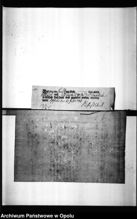 Obraz 8 z jednostki "Acta des Magistrats zu Oppeln von den hiesigen Cram-Woll-Vieh und Wochenmärckten"