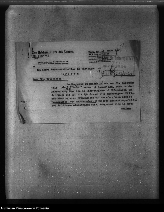 Obraz 5 z jednostki "Trichinose, Typhus"