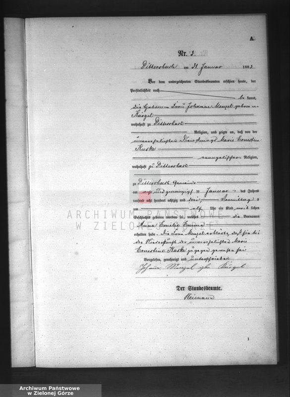 image.from.unit.number "[Księga aktów urodzeń]"