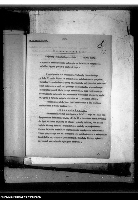 Obraz 16 z jednostki "Postępowanie techniczne przy parcelacji majątku Pępowo powiatu gostyńskiego"