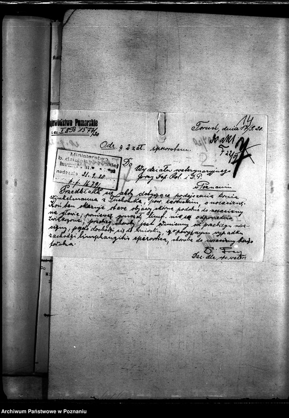 Obraz 18 z jednostki "Nosacizna - Kartuzy"