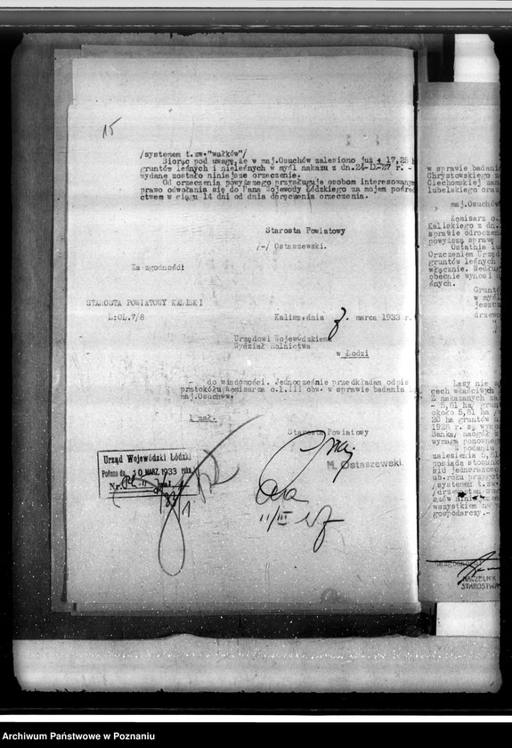 Obraz 19 z jednostki "Sprawa lustracji lasu dóbr Osuchów powiatu kaliskiego oraz sprawa odroczenia terminu zalesienia 3,06 ha gruntów leśnych"