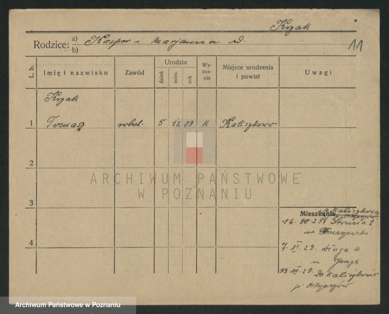 Obraz 11 z jednostki "Krzaczek - Krzyślak"