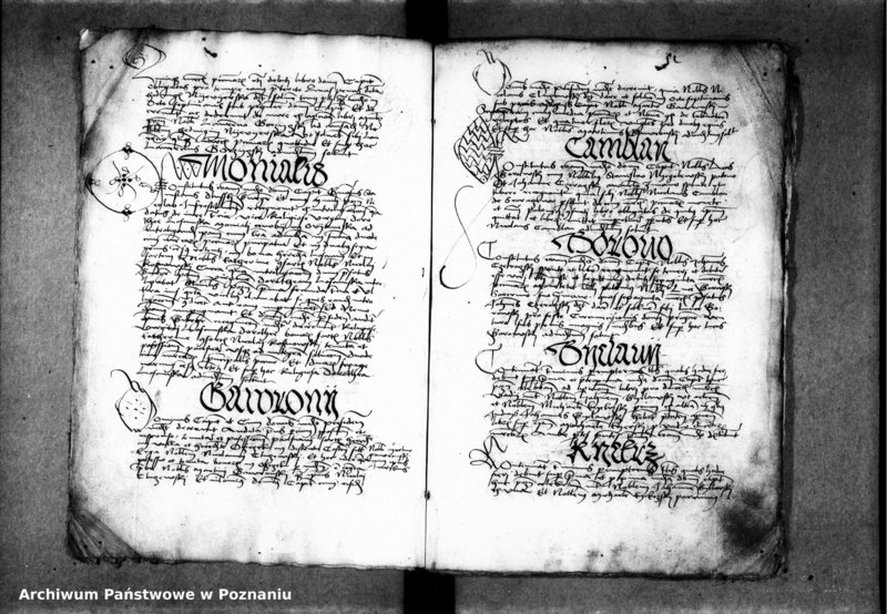 Obraz 8 z jednostki "Inscriptiones, relationes, decreta [inducta]"