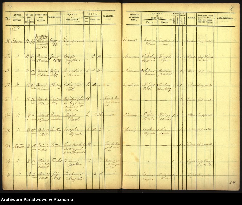 Obraz 7 z jednostki "Księga zgonów"