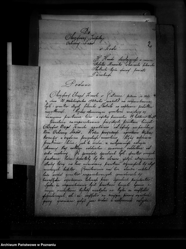 Obraz 6 z jednostki "Sprawa zatwierdzenia projektu planu gospodarstwa leśnego dla lasu majątku Czepów-Dolny powiat turecki"