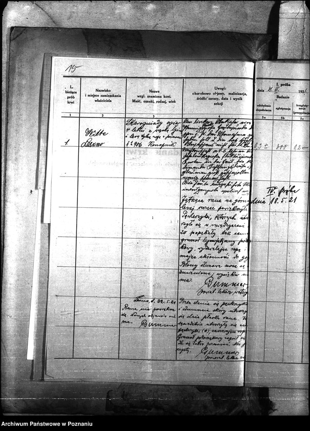 Obraz 18 z jednostki "Nosacizna - Leszno"