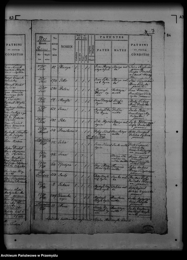 Obraz 11 z jednostki "[Kopie ksiąg metrykalnych parafii Turze (dekanat Rozłucz)]"