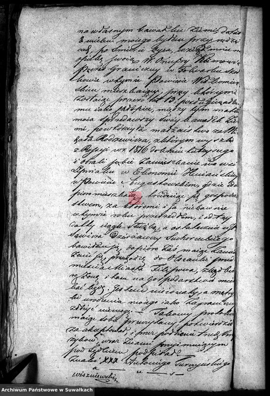 Obraz 10 z jednostki "Annexa Akt do Zaślubienia w Gminie Filipowskiey z Roku 1819"