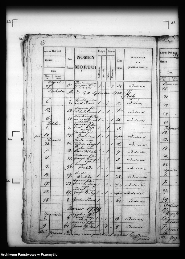 image.from.unit.number "[Kopie ksiąg metrykalnych parafii Hujsko z filiami Pacław, Nowosiółki Dydyńskie, Truszowice (dekanat Dobromil)]"