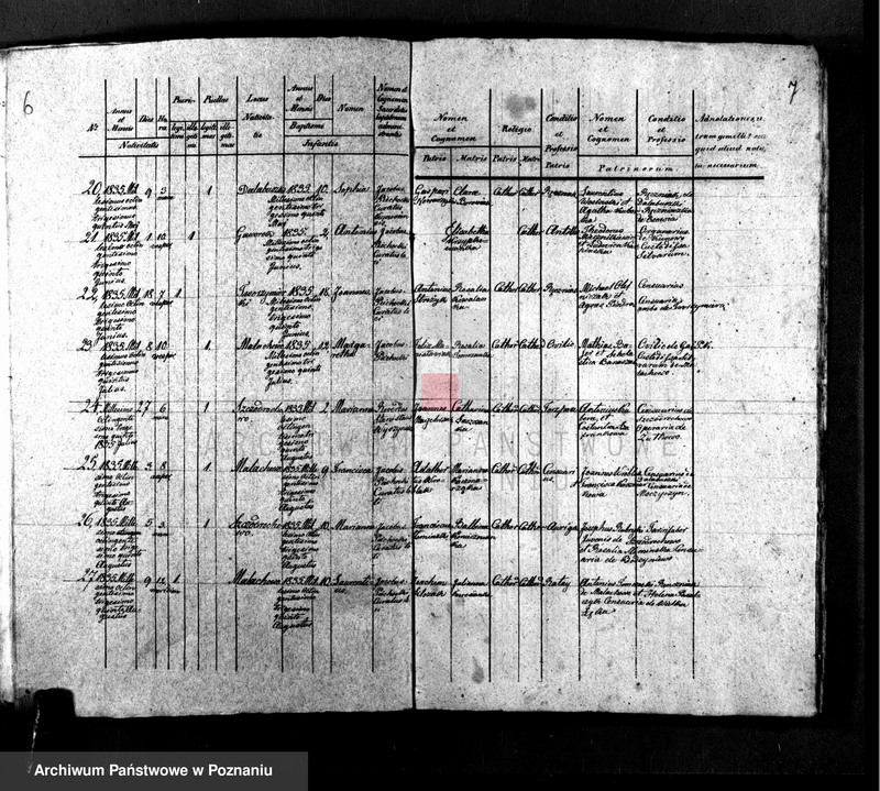 Obraz 5 z jednostki "Liber baptisatorum, copulatorum, mortuorum"