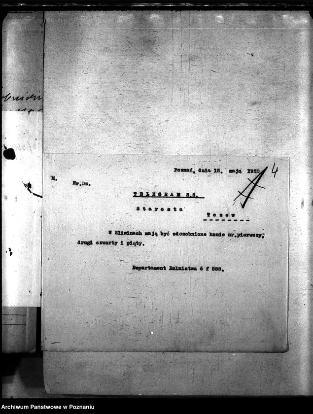 Obraz 8 z jednostki "Nosacizna - Tczew"