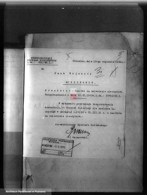 Obraz 9 z jednostki "Zalesienie nieużytków w powiecie mogileńskim"