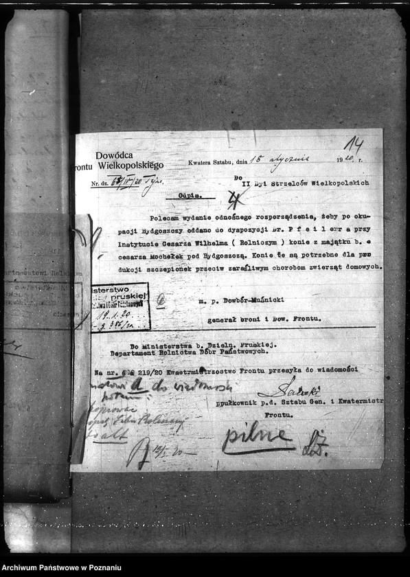 Obraz 18 z jednostki "Instytut Higieny Zwierząt w Bydgoszczy"