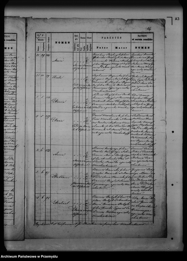 Obraz 20 z jednostki "[Kopie ksiąg metrykalnych parafii Werchrata z filią Prusie (dekanat Rawa Ruska)]"