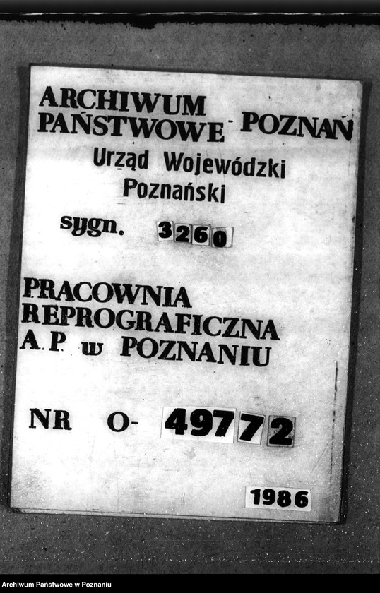 Obraz 1 z jednostki "Majętność leśna Łąka Wielka"