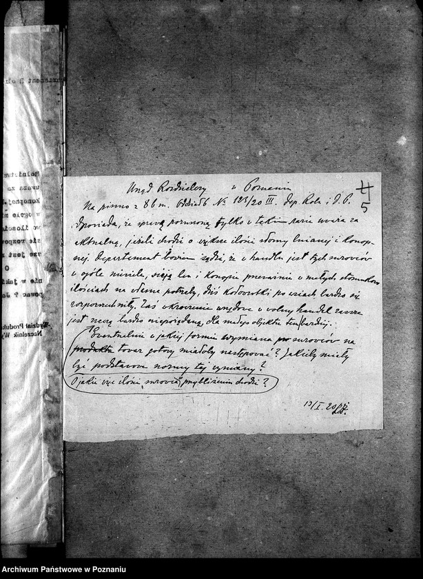 Obraz 9 z jednostki "Len i konopie"