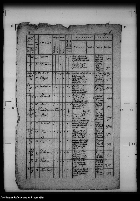 Obraz 9 z jednostki "[Kopie ksiąg metrykalnych parafii Szmitków z filiami Moszków, Sawczyn (dekanat Bełz)]"