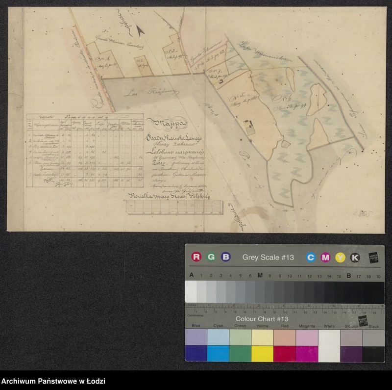 image.from.unit.number "Mappa osady Strażnika Leśnego Straży Zakrzew Lelekowo nazywanej w granicach Wsi Rządowej Psary - położonej w Powiecie Brzeskim, Obwodzie Kujawskim - Guberni Mazowieckiej"