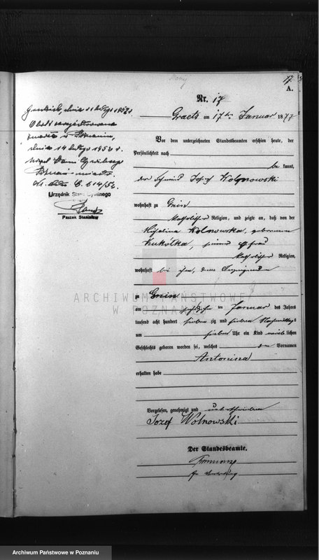 Obraz 19 z jednostki "Księga urodzeń"