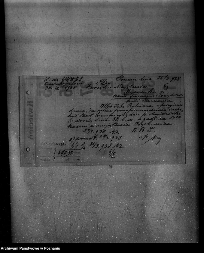 Obraz 9 z jednostki "Nadzór nad gospodarką w lasach majętności Lusówko powiatu poznańskiego"