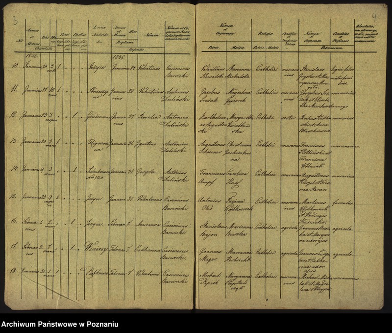 Obraz 5 z jednostki "Księga urodzeń"