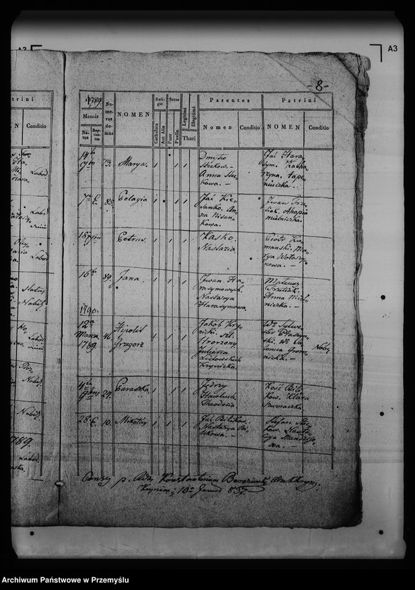 Obraz 14 z jednostki "[Kopie ksiąg metrykalnych parafii Krynica (dekanat Medenice)]"