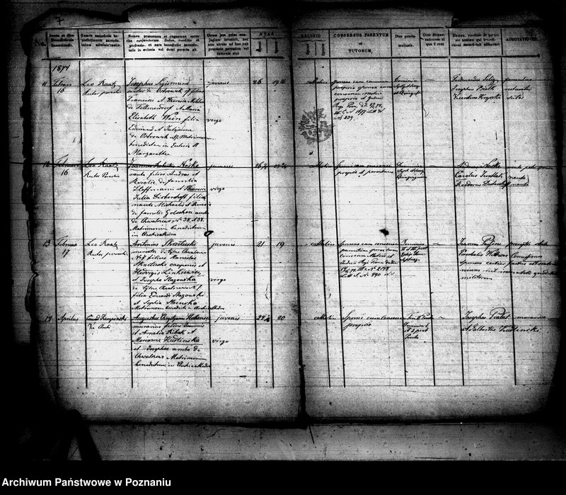 Obraz 5 z jednostki "Księga małżeństw"