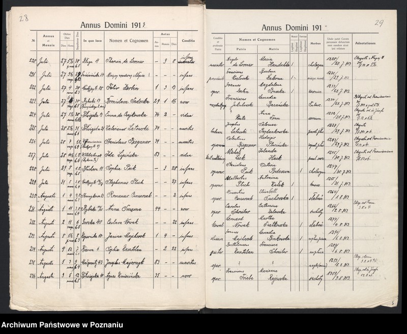 Obraz 17 z jednostki "Indeks zgonów"