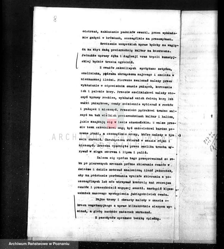 Obraz 12 z jednostki "/Opis lasu majętności Sławno w powiecie czarnkowskim/"