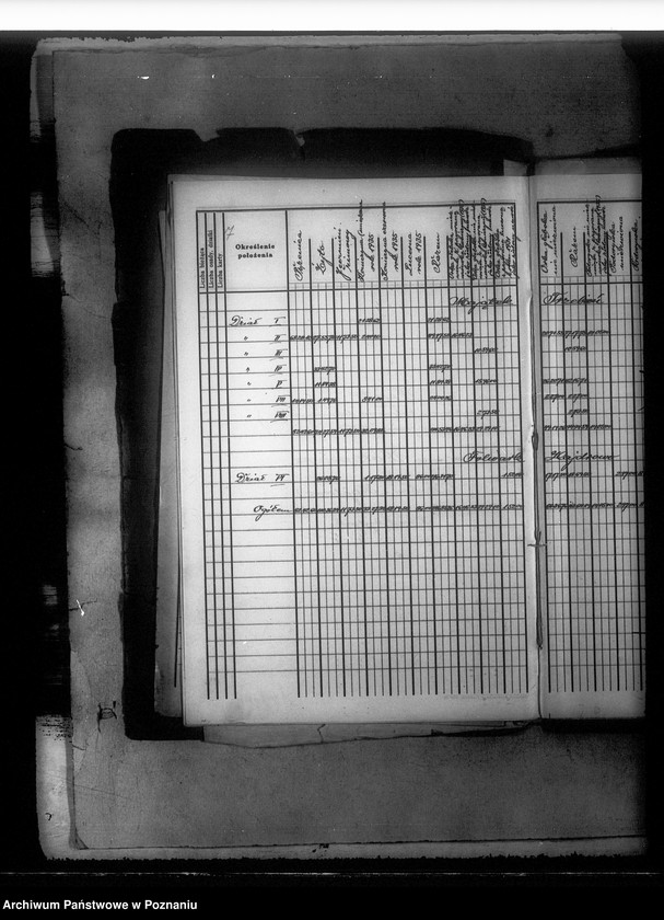 Obraz 11 z jednostki "Rejestr upraw i zasiewów dokonanych w jesieni 1935 r. w majątku Kotomierz powiatu bydgoskiego"